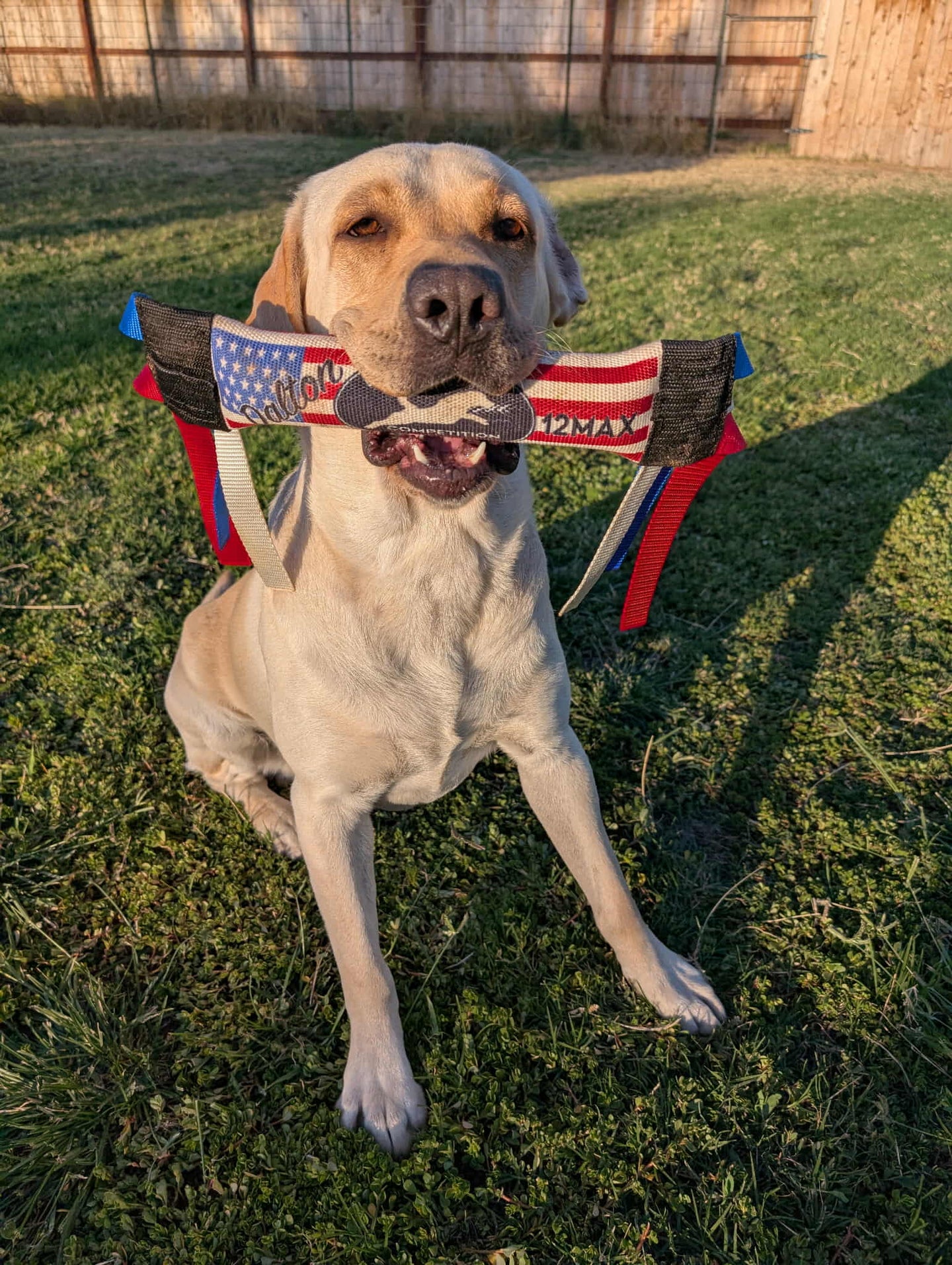 Dock Diving Bumper Tug - Competition Series Weighted - U.S. Flag - Bulletproof Pet Products Inc