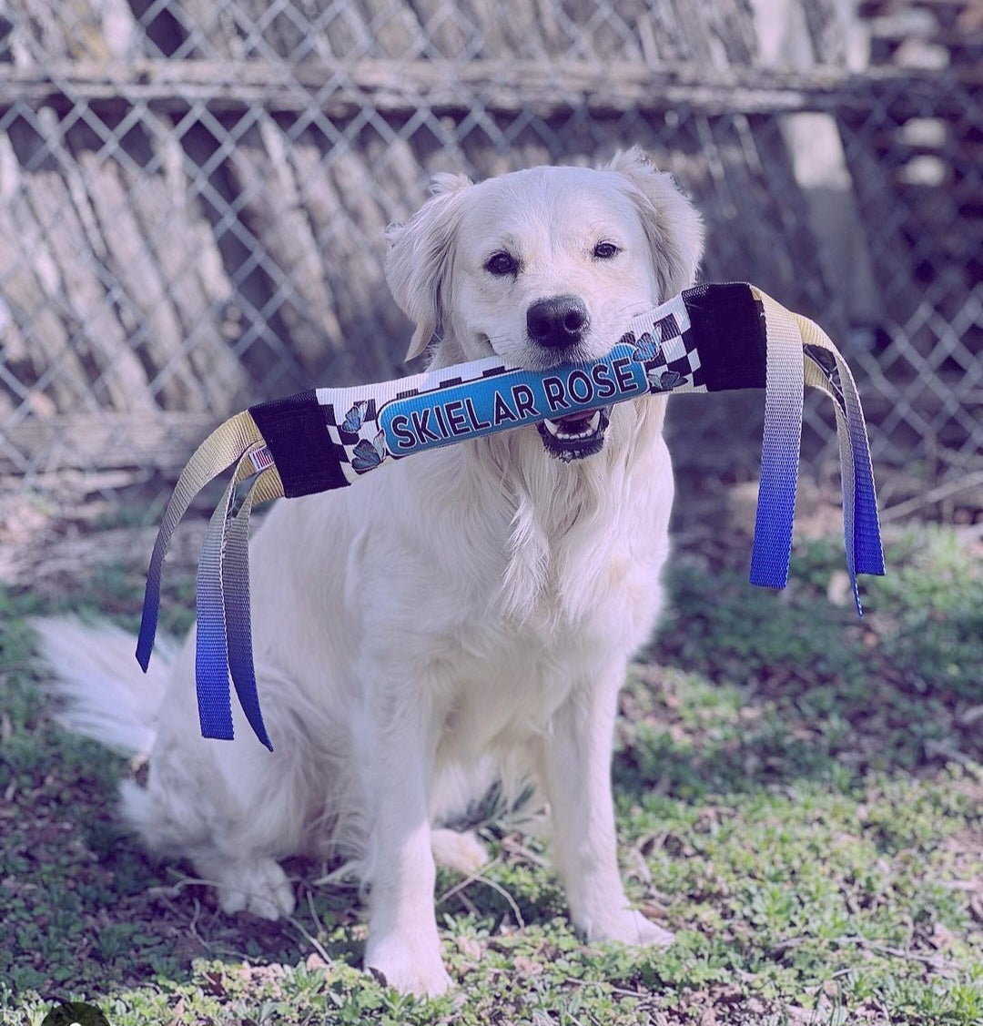 Dock Diving Bumper Tug - Competition Series Weighted - Checkers & Butterflies -Ombré - Bulletproof Pet Products Inc