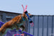 Dock Diving Bumper Tug - Competition Series Weighted - Customizable - Bulletproof Pet Products Inc