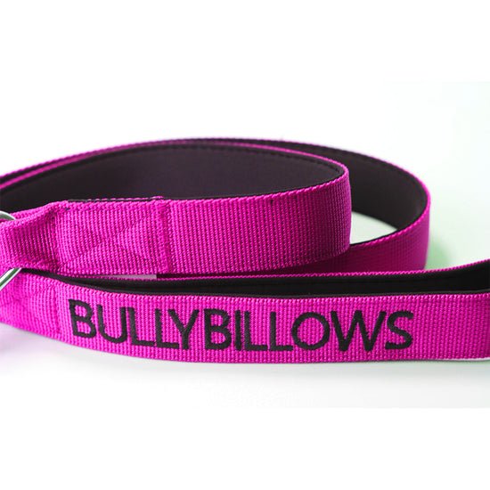 Bully Billows - Nylon Snap Hook Dog Lead - Magenta - Bulletproof Pet Products Inc