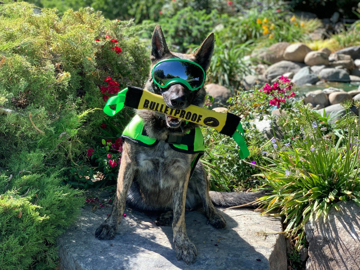 DOCK DIVING BUMPER TUG - COMPETITION SERIES WEIGHTED - CUSTOMIZABLE - Bulletproof Pet Products Inc