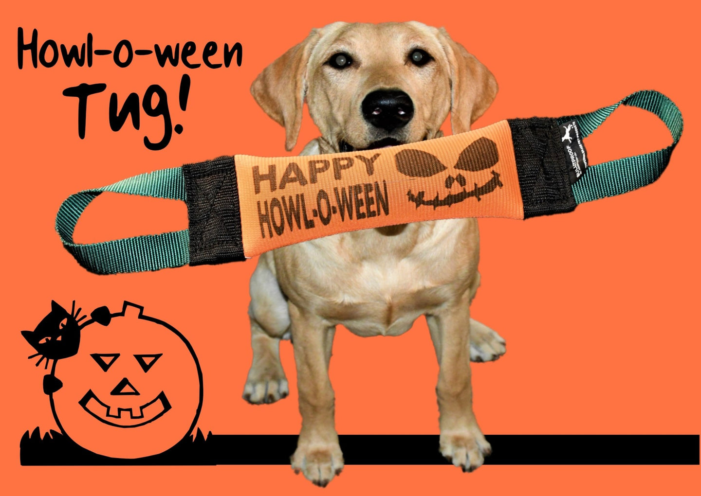 HAPPY HOWL-O-WEEN FIRE HOSE TRAINING TUG - Bulletproof Pet Products Inc