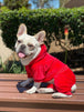 Pink Velvet Tracksuit / Soft Pajamas Hoodie - Bulletproof Pet Products Inc