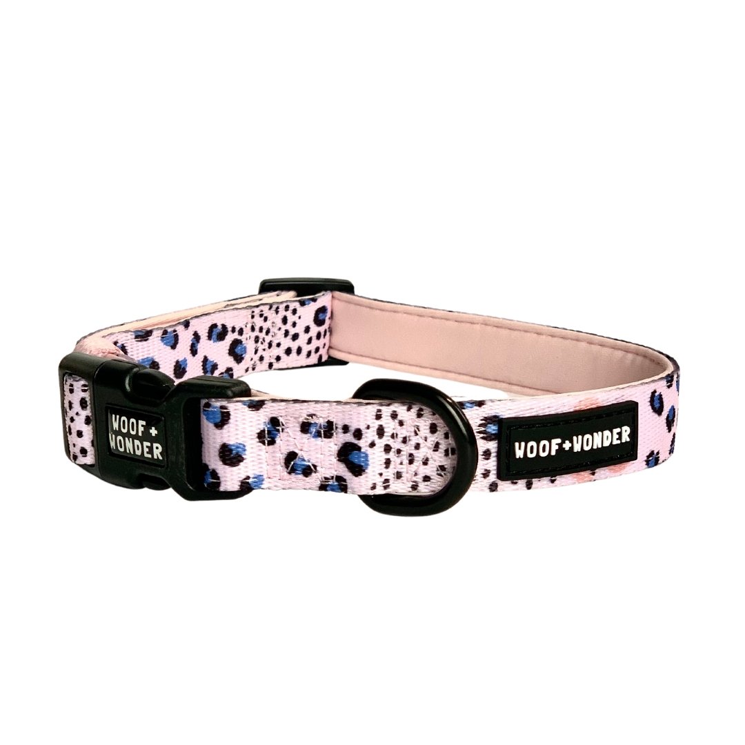 Spotted in the City - Collar - Bulletproof Pet Products Inc