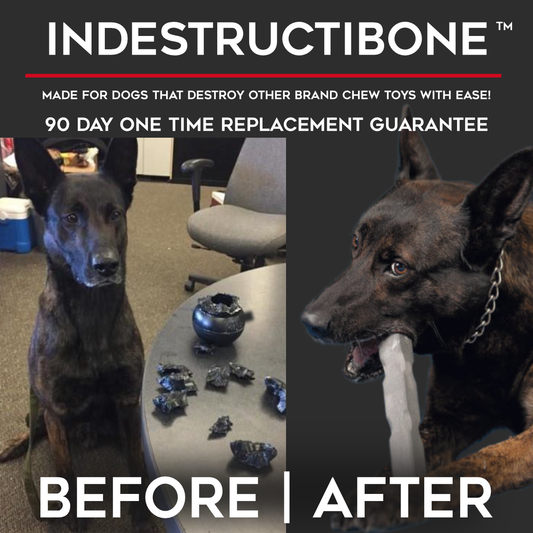 Why Indestructibone is the Best Chew Toy of All Time