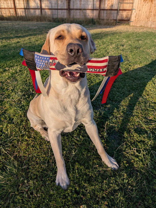 Dock Diving Bumper Tug - Competition Series Weighted - U.S. Flag - Bulletproof Pet Products Inc