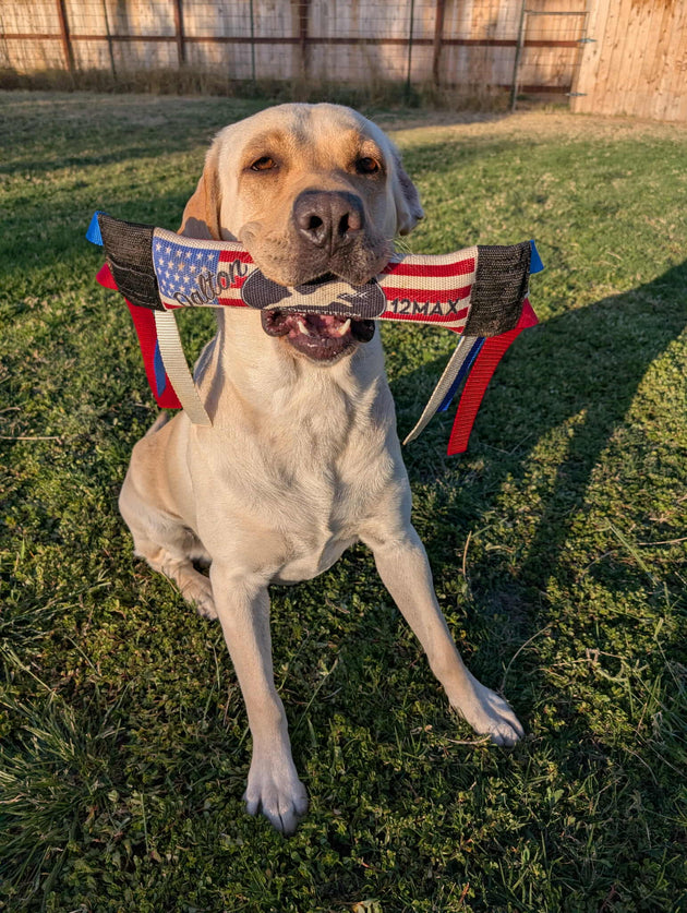 Dock Diving Bumper Tug - Competition Series Weighted - U.S. Flag - Bulletproof Pet Products Inc