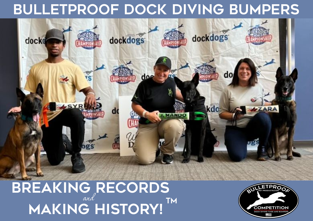 UPGRADE ANY PREDESIGNED TUG TO A DOCK DIVING BUMPER TUG -  COMPETITION SERIES WEIGHTED