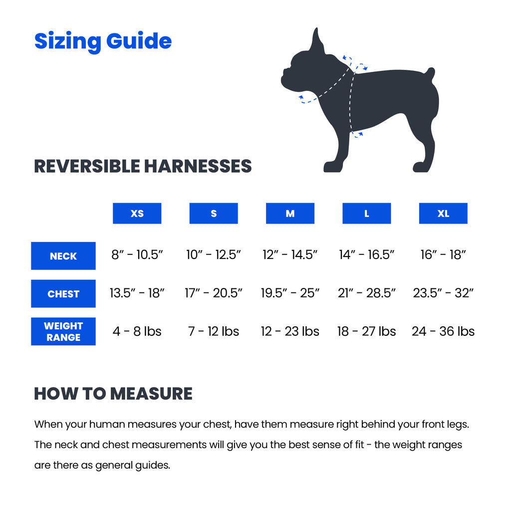 Sugar Skulls Reversible Dog Harness 2.0