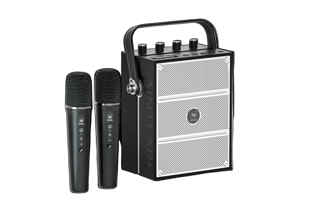 WinBridge S99 100W Powerful Wireless Voice Amplifier - 2 Handheld Microphones - Portable PA System w/ Sound Effects, Karaoke Speaker and Mic System Support Guitar Play - Bulletproof Pet Products Inc