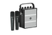 WinBridge S99 100W Powerful Wireless Voice Amplifier - 2 Handheld Microphones - Portable PA System w/ Sound Effects, Karaoke Speaker and Mic System Support Guitar Play - Bulletproof Pet Products Inc