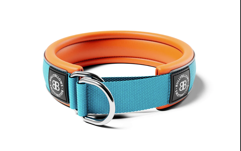 Foam‑Padded Slip‑On Martingale Dog Collar for Pulling Dogs – 4cm Light Blue & Orange - Bulletproof Pet Products Inc