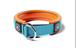 Foam‑Padded Slip‑On Martingale Dog Collar for Pulling Dogs – 4cm Light Blue & Orange - Bulletproof Pet Products Inc