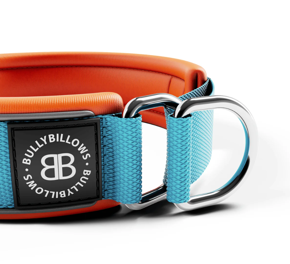 Foam‑Padded Slip‑On Martingale Dog Collar for Pulling Dogs – 4cm Light Blue & Orange - Bulletproof Pet Products Inc