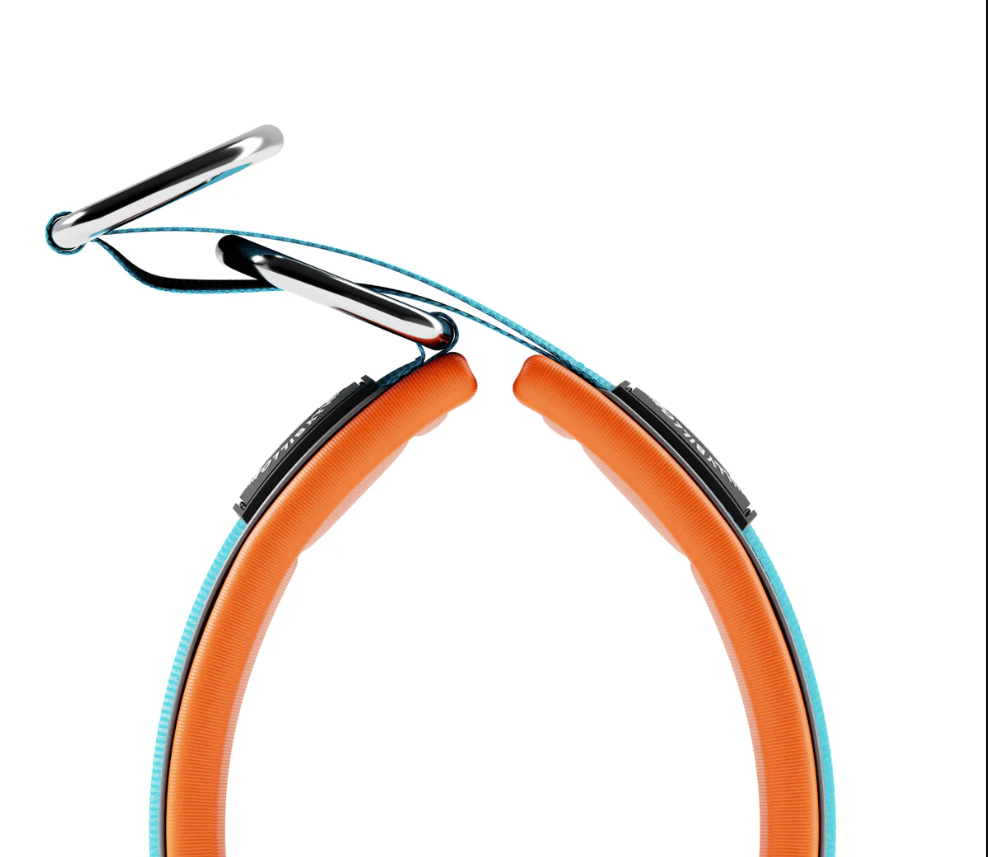 Foam‑Padded Slip‑On Martingale Dog Collar for Pulling Dogs – 4cm Light Blue & Orange - Bulletproof Pet Products Inc