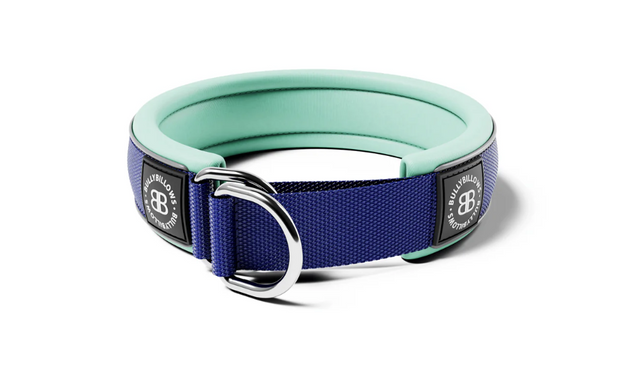 Bully Billows – 5cm Ramsey Range – Blue & Turquoise Padded Collar (Series 2) - Bulletproof Pet Products Inc