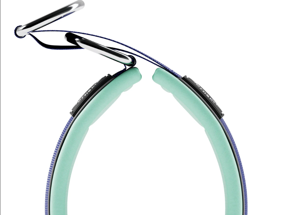 Bully Billows – 5cm Ramsey Range – Blue & Turquoise Padded Collar (Series 2) - Bulletproof Pet Products Inc