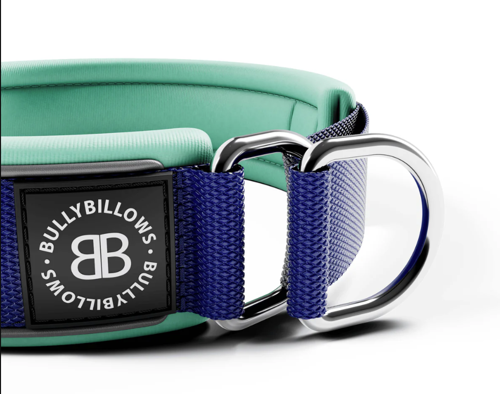 Bully Billows – 5cm Ramsey Range – Blue & Turquoise Padded Collar (Series 2) - Bulletproof Pet Products Inc