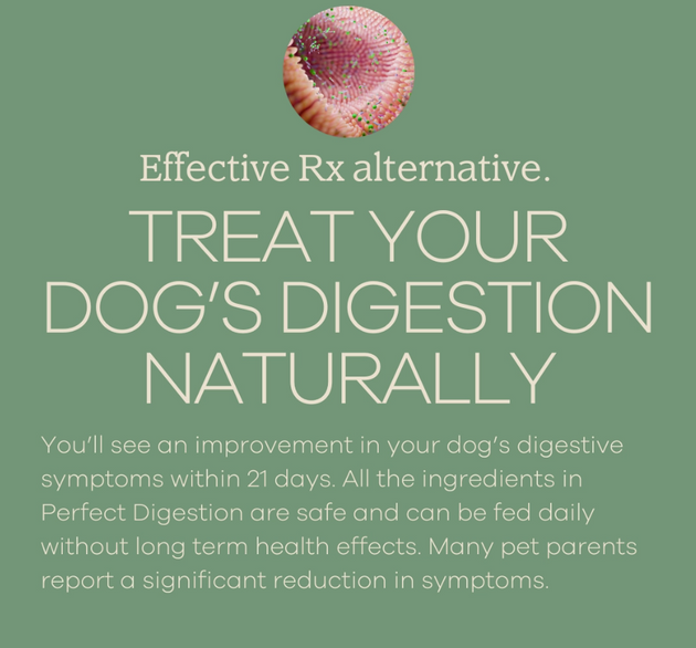 Perfect Digestion Dog Food Topper 2.6oz - Bulletproof Pet Products Inc
