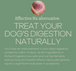 Perfect Digestion Dog Food Topper 2.6oz - Bulletproof Pet Products Inc