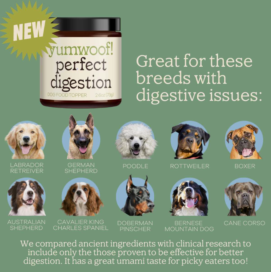 Perfect Digestion Dog Food Topper 2.6oz - Bulletproof Pet Products Inc