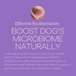 Perfect Probiotics Dog Food Topper 2.1 oz - Bulletproof Pet Products Inc