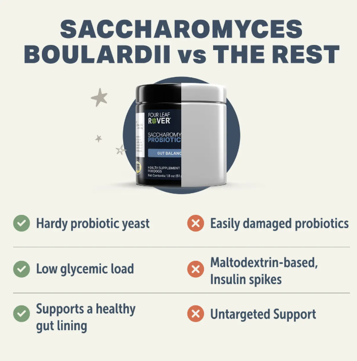 Saccharomyces boulardii - Yeast-Based Probiotics For Dogs - Four Leaf Rover - Bulletproof Pet Products Inc