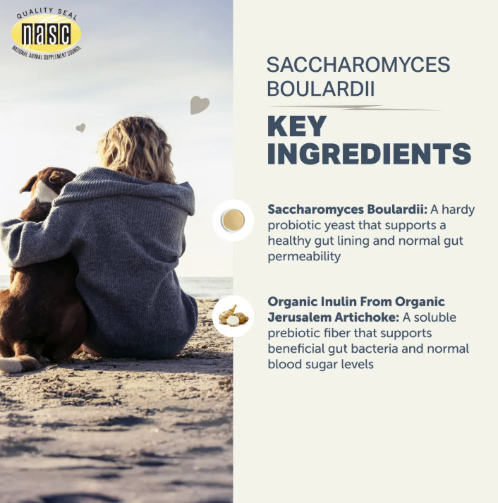 Saccharomyces boulardii - Yeast-Based Probiotics For Dogs - Four Leaf Rover - Bulletproof Pet Products Inc