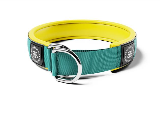 Bully Billows – 4cm Ramsey Range – Turquoise & Yellow Padded Collar (Series 2) - Bulletproof Pet Products Inc