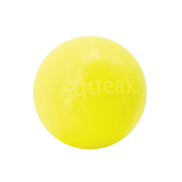 Planet Dog Orbee Tuff Squeak Ball Dog Toy