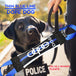 Thin Blue Line Dope Dog Fire Hose Training Tug - Bulletproof Pet Products Inc