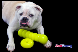 DAWG BUSTER XL - DOGS 40 LBS PLUS BY RUFF DAWG - Bulletproof Pet Products Inc