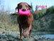 Crinkit XL - BY RUFF DAWG - Bulletproof Pet Products Inc