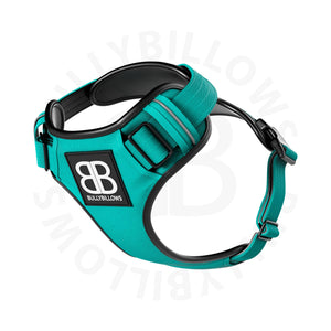 Bully Billows - Premium Dog Harness - Turquoise