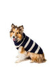 Alpaca Navy and Cream Stripe sweater - Bulletproof Pet Products Inc