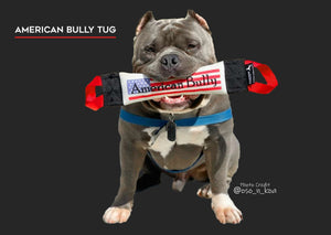 AMERICAN BULLY FIRE HOSE TRAINING TUG - Bulletproof Pet Products Inc