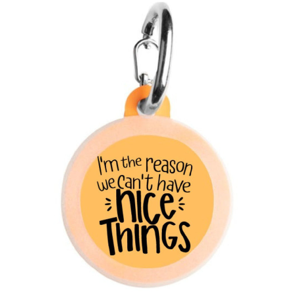 Bad Tags - I'm the Reason We Can’t Have Nice Things - Bulletproof Pet Products Inc