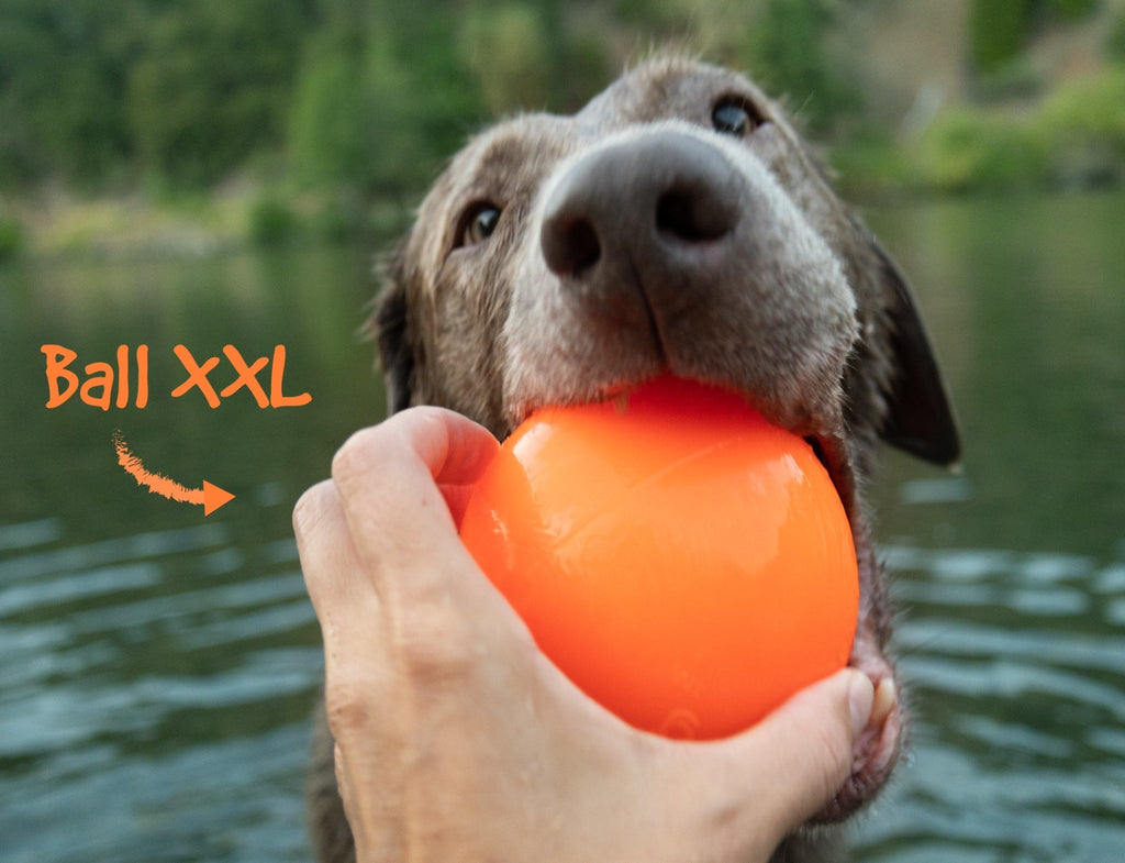 BALL XXL - DOGS 40 LBS PLUS - BY RUFF DAWG - Bulletproof Pet Products Inc