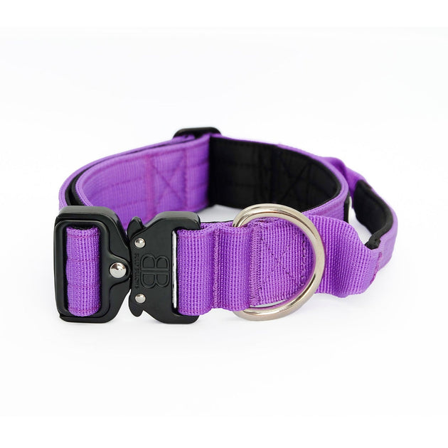 Bully Billows 1.5" (4CM) Combat Collar with handle - Purple (Padded) - Bulletproof Pet Products Inc