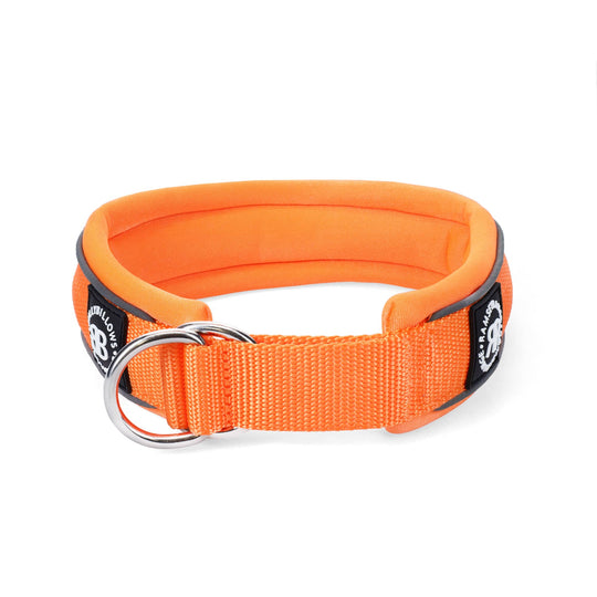 BULLY BILLOWS - 4CM RAMSEY RANGE - ORANGE COLLAR (SERIES 2) - Bulletproof Pet Products Inc