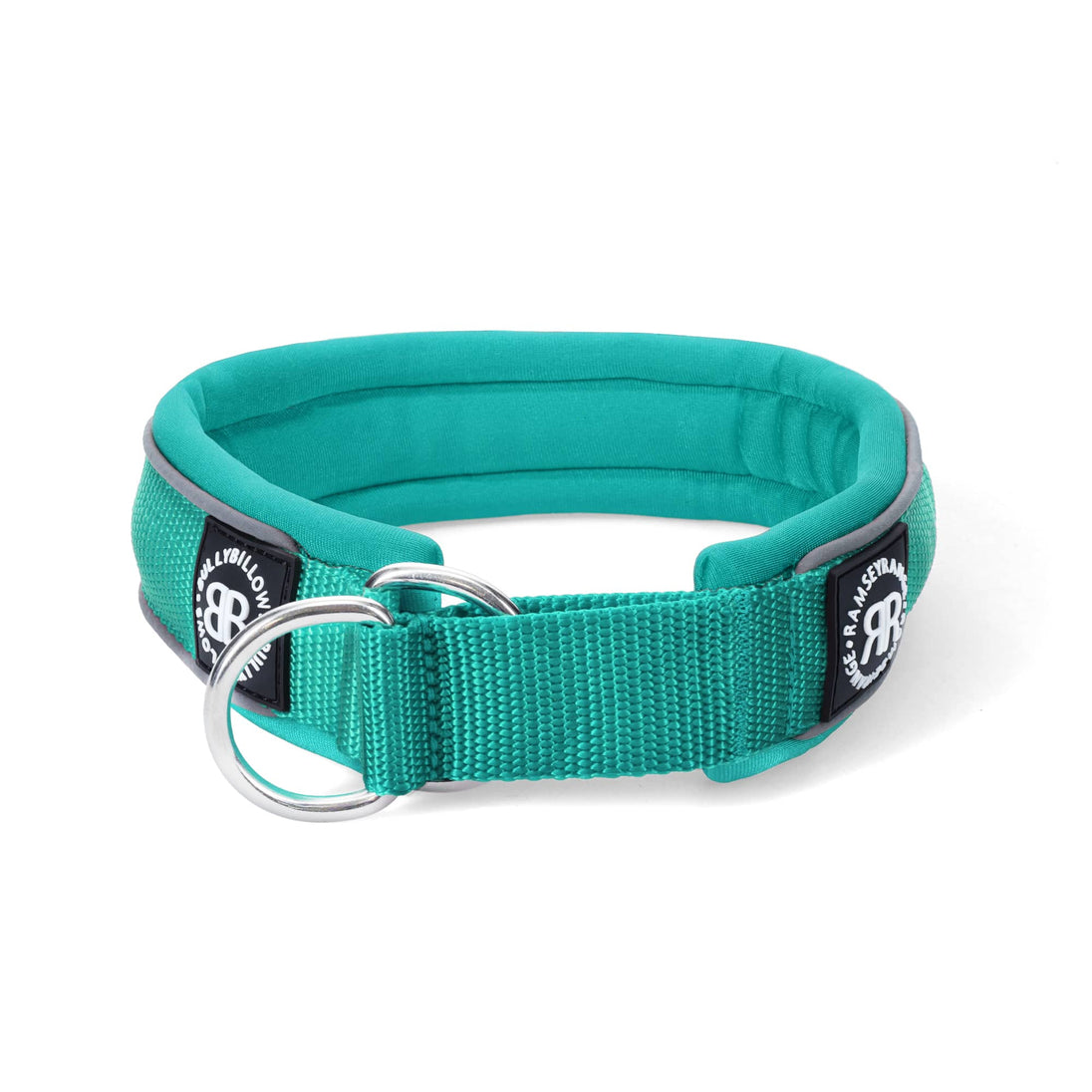 BULLY BILLOWS - 4CM RAMSEY RANGE - TURQUOISE COLLAR (SERIES 2) - Bulletproof Pet Products Inc