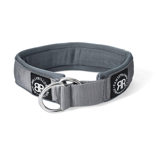 BULLY BILLOWS - 5CM RAMSEY RANGE - GRAY COLLAR (SERIES 2) - Bulletproof Pet Products Inc