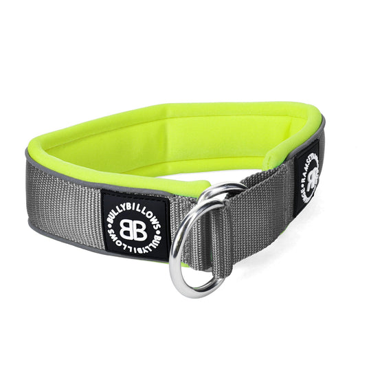 BULLY BILLOWS - 5CM RAMSEY RANGE - GRAY & NEON COLLAR (SERIES 2) - Bulletproof Pet Products Inc