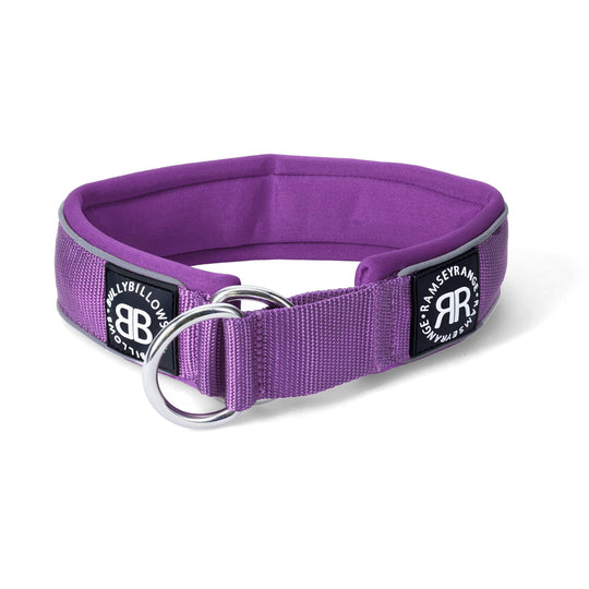 BULLY BILLOWS - 5CM RAMSEY RANGE - PURPLE COLLAR (SERIES 2) - Bulletproof Pet Products Inc