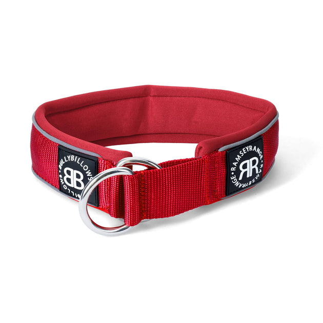 BULLY BILLOWS - 5CM RAMSEY RANGE - RED COLLAR (SERIES 2) - Bulletproof Pet Products Inc