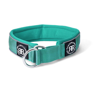 BULLY BILLOWS - 5CM RAMSEY RANGE - TURQUOISE COLLAR (SERIES 2) - Bulletproof Pet Products Inc
