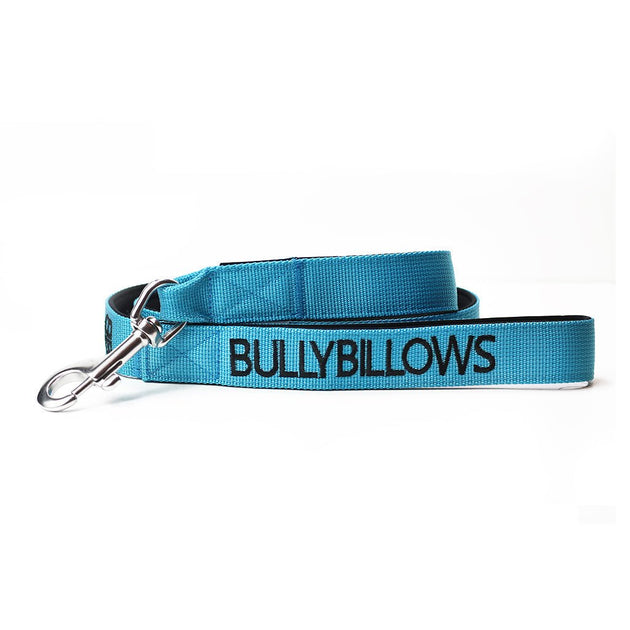 Bully Billows - Nylon Snap Hook Dog Lead - Light Blue - Bulletproof Pet Products Inc