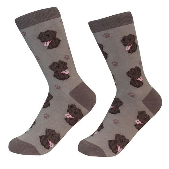 Chocolate Labrador Socks - Bulletproof Pet Products Inc