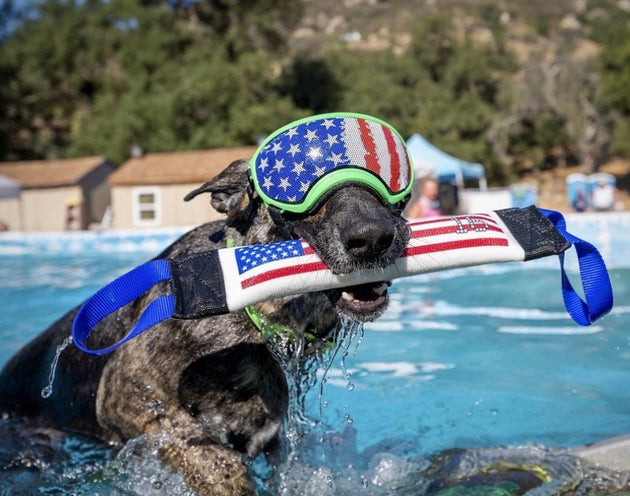 DOCK DIVING BUMPER TUG - COMPETITION SERIES WEIGHTED - U.S. FLAG - Bulletproof Pet Products Inc