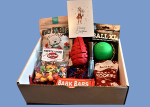 DOG CHRISTMAS BOX - COMES WITH GREAT GIFTS -CHRISTMAS CARD AND GIFT CARD - Bulletproof Pet Products Inc